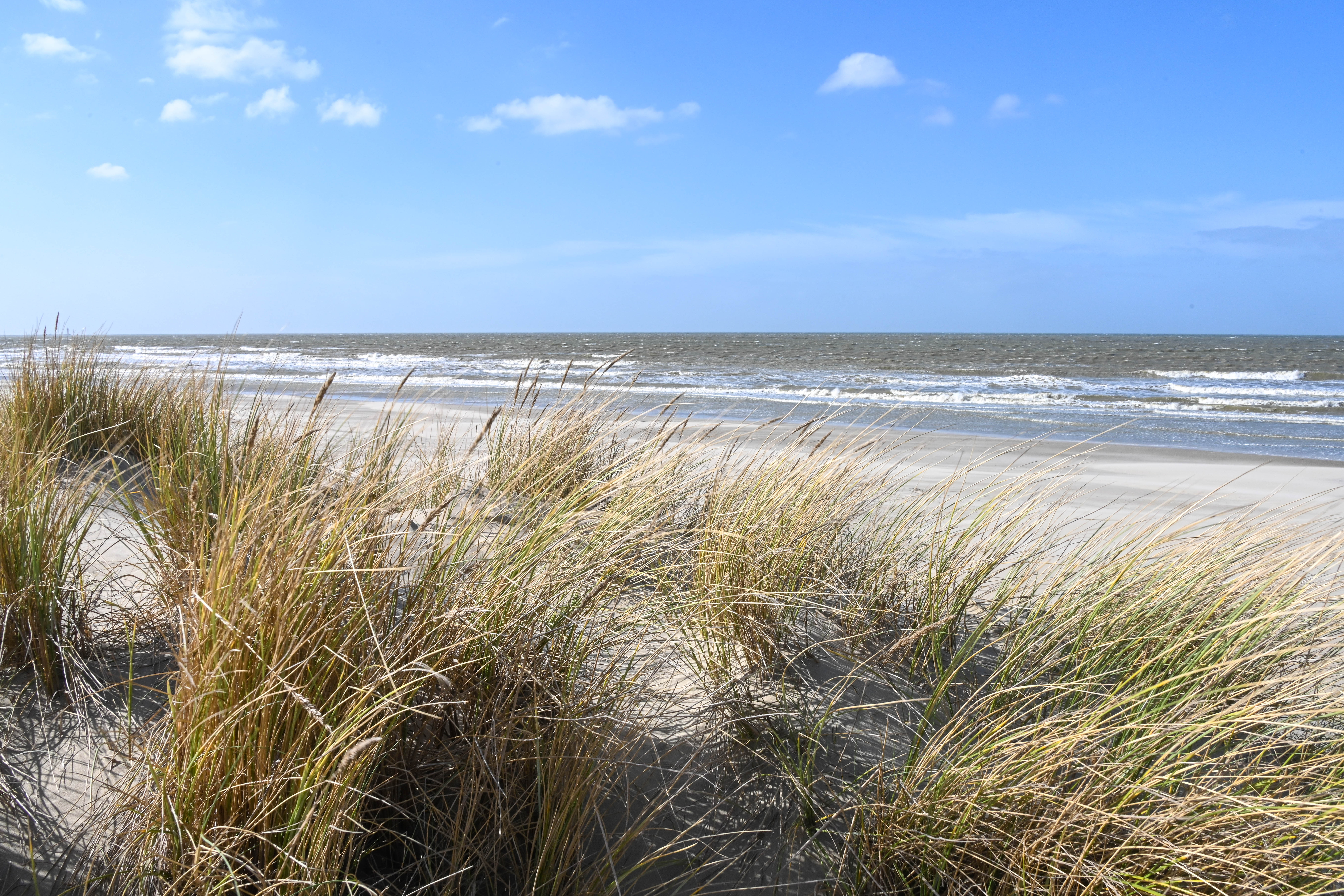 Photo de la plage vue des dunes (c)Communauté urbaine de Dunkerque - Jonathan DELAHAYE