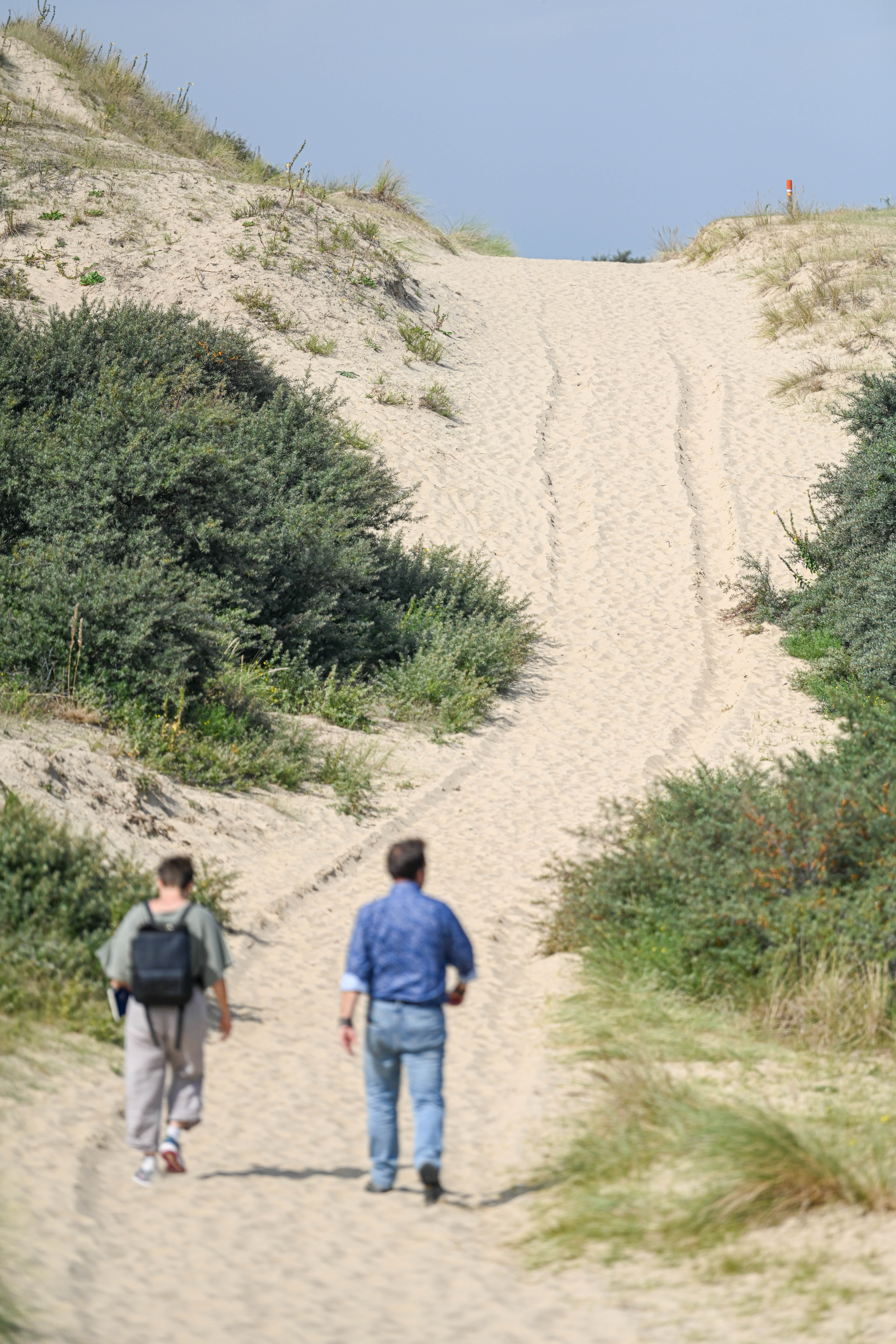 Dune du Perroquet (c)CUD - Pierre VOLOT Dune du Perroquet (c)CUD - Pierre VOLOT